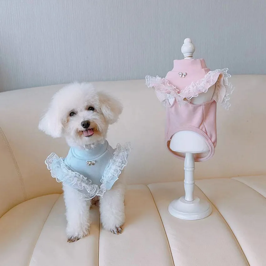 Pet Clothing Autumn and Winter - Lace Teddy Lingerie review and price